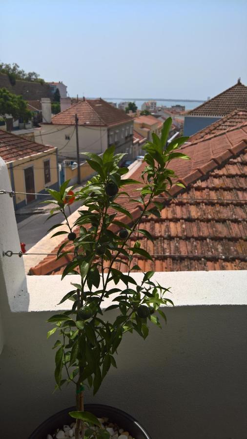 Casa Do Viso Villa Setúbal Exteriör bild